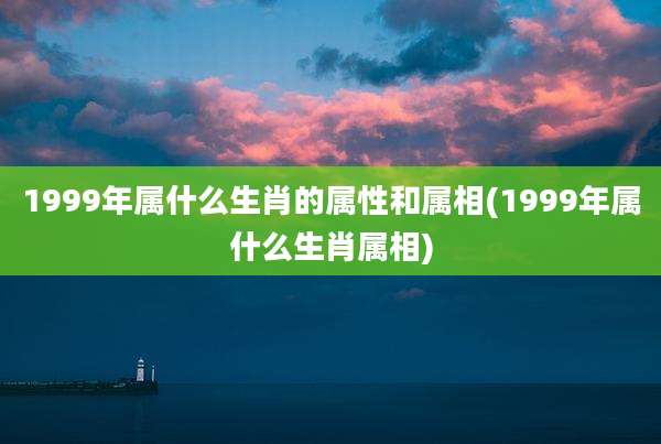 1999年属什么生肖的属性和属相(1999年属什么生肖属相)