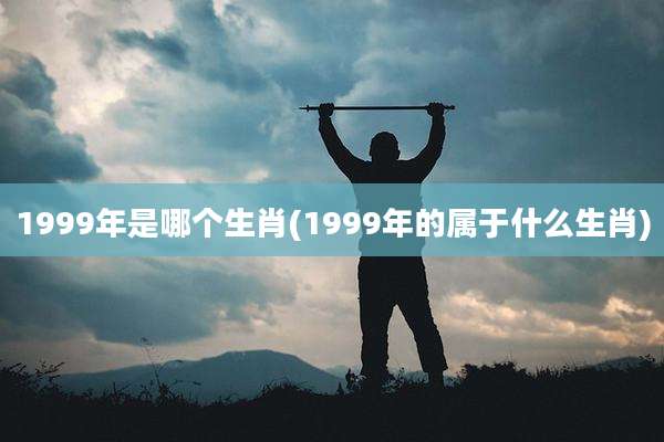 1999年是哪个生肖(1999年的属于什么生肖)