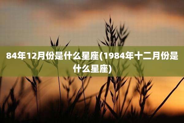 84年12月份是什么星座(1984年十二月份是什么星座)