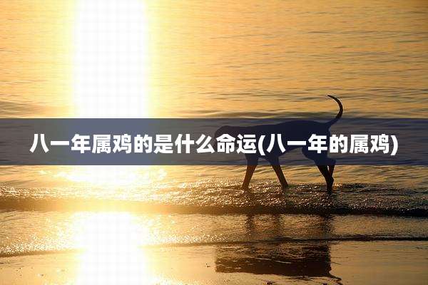 八一年属鸡的是什么命运(八一年的属鸡)