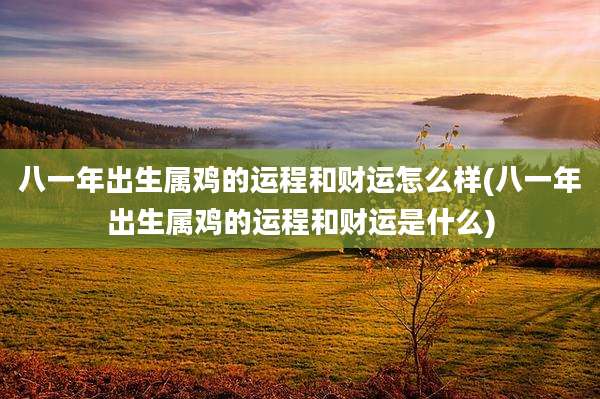 八一年出生属鸡的运程和财运怎么样(八一年出生属鸡的运程和财运是什么)