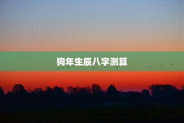 狗年生辰八字测算