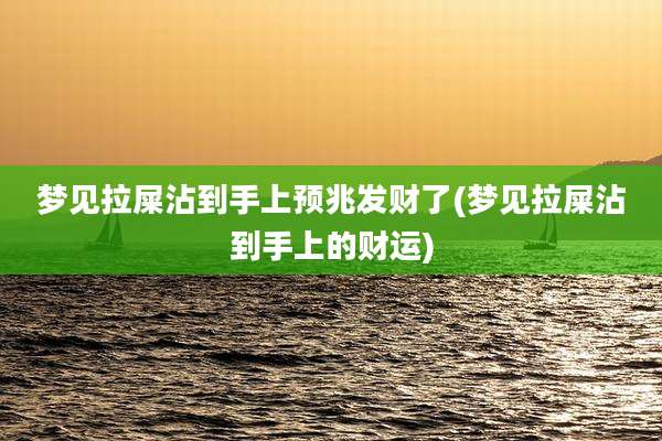 梦见拉屎沾到手上预兆发财了(梦见拉屎沾到手上的财运)