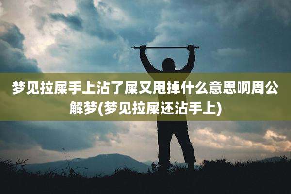 梦见拉屎手上沾了屎又甩掉什么意思啊周公解梦(梦见拉屎还沾手上)