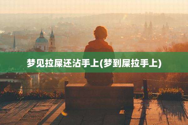 梦见拉屎还沾手上(梦到屎拉手上)
