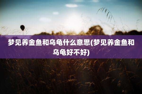 梦见养金鱼和乌龟什么意思(梦见养金鱼和乌龟好不好)