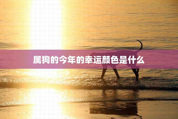 属狗的今年的幸运颜色是什么