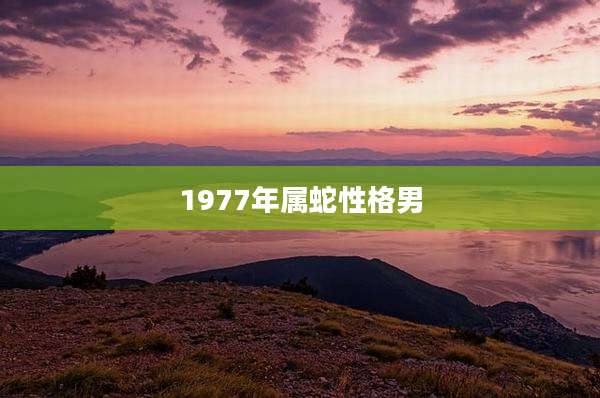 1977年属蛇性格男
