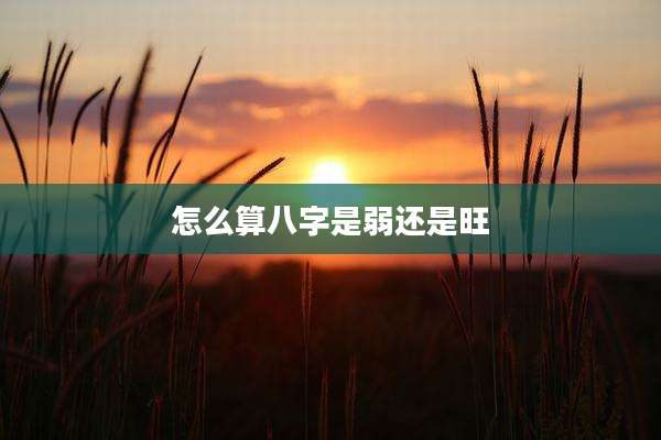 怎么算八字是弱还是旺