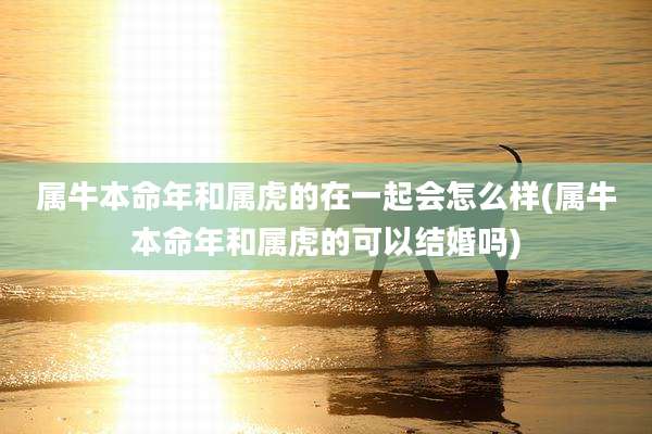 属牛本命年和属虎的在一起会怎么样(属牛本命年和属虎的可以结婚吗)