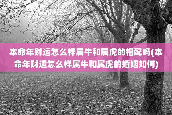 本命年财运怎么样属牛和属虎的相配吗(本命年财运怎么样属牛和属虎的婚姻如何)