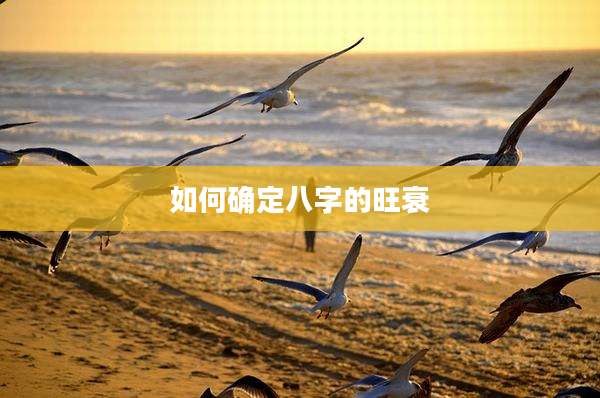 如何确定八字的旺衰