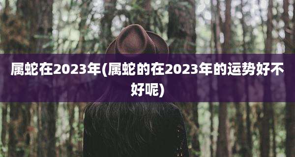 属蛇在2023年(属蛇的在2023年的运势好不好呢)