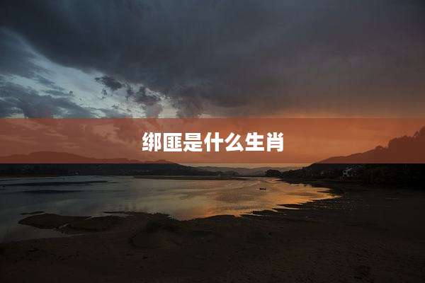 绑匪是什么生肖