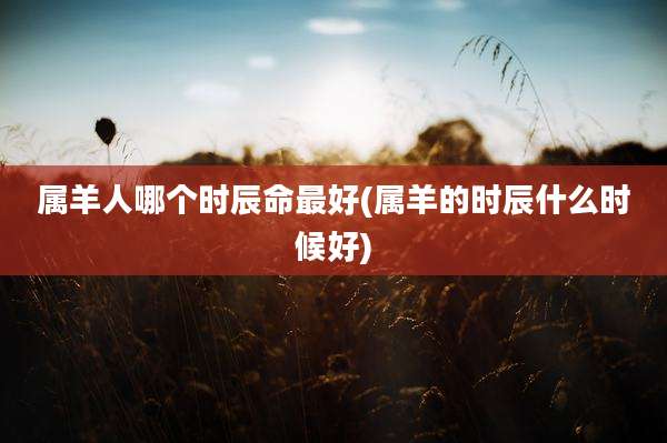 属羊人哪个时辰命最好(属羊的时辰什么时候好)