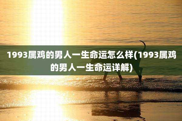1993属鸡的男人一生命运怎么样(1993属鸡的男人一生命运详解)