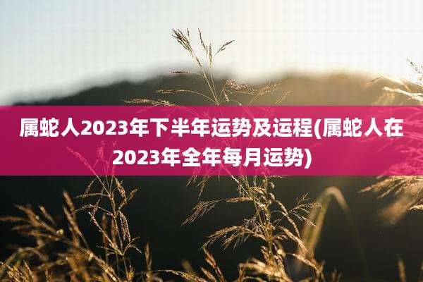 属蛇人2023年下半年运势及运程(属蛇人在2023年全年每月运势)