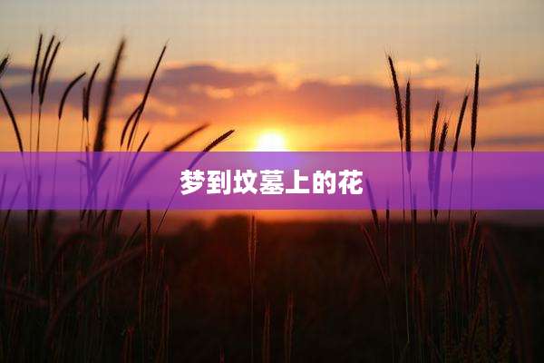 梦到坟墓上的花