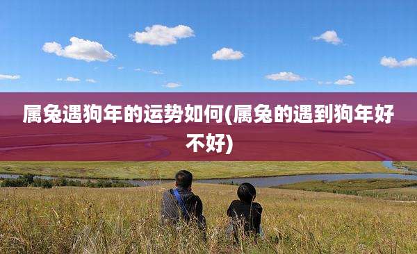 属兔遇狗年的运势如何(属兔的遇到狗年好不好)