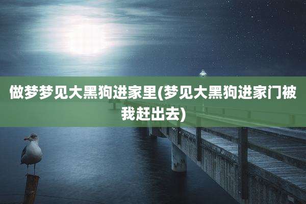 做梦梦见大黑狗进家里(梦见大黑狗进家门被我赶出去)