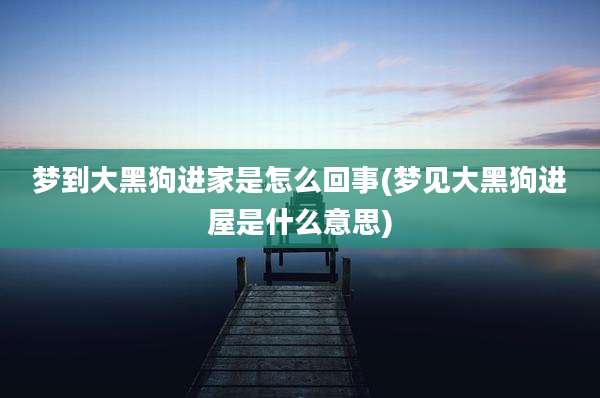 梦到大黑狗进家是怎么回事(梦见大黑狗进屋是什么意思)