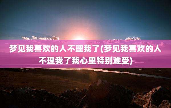 梦见我喜欢的人不理我了(梦见我喜欢的人不理我了我心里特别难受)