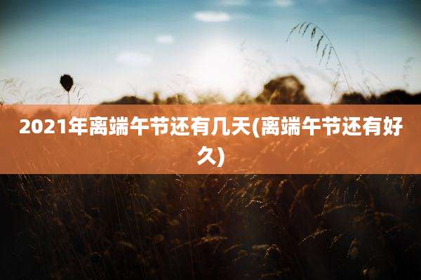 2021年离端午节还有几天(离端午节还有好久)