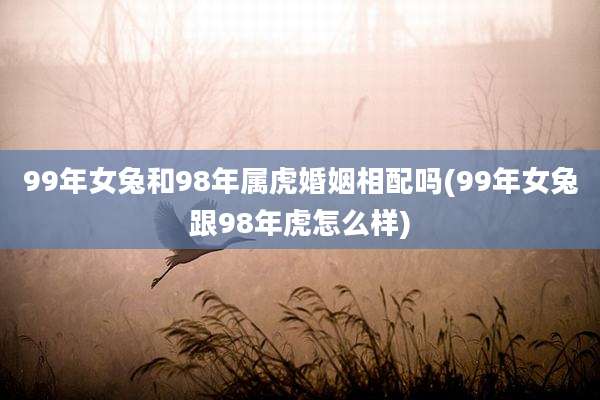 99年女兔和98年属虎婚姻相配吗(99年女兔跟98年虎怎么样)