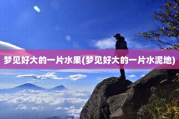 梦见好大的一片水果(梦见好大的一片水泥地)