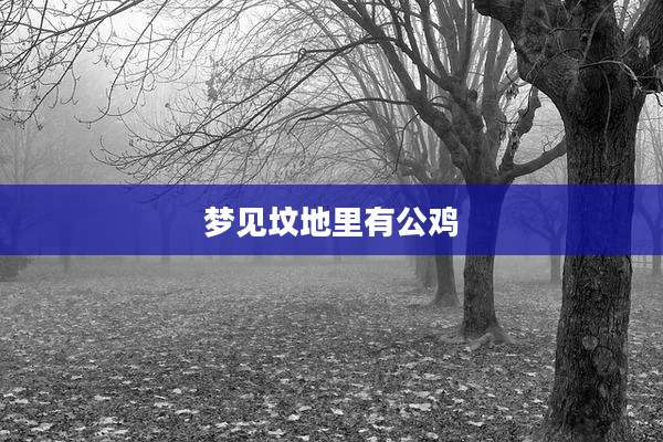 梦见坟地里有公鸡