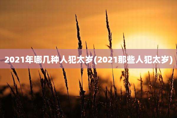 2021年哪几种人犯太岁(2021那些人犯太岁)