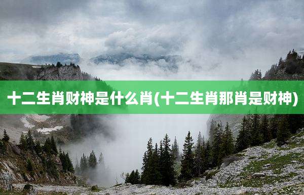 十二生肖财神是什么肖(十二生肖那肖是财神)