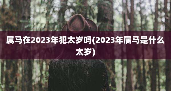 属马在2023年犯太岁吗(2023年属马是什么太岁)