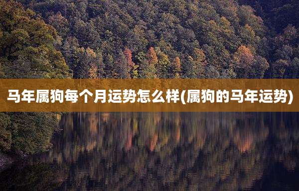 马年属狗每个月运势怎么样(属狗的马年运势)