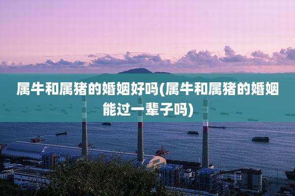 属牛和属猪的婚姻好吗(属牛和属猪的婚姻能过一辈子吗)