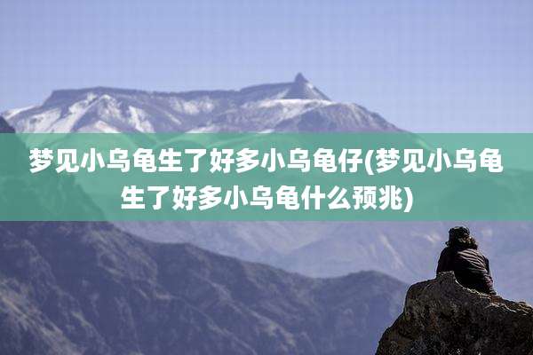 梦见小乌龟生了好多小乌龟仔(梦见小乌龟生了好多小乌龟什么预兆)