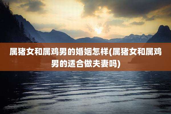 属猪女和属鸡男的婚姻怎样(属猪女和属鸡男的适合做夫妻吗)
