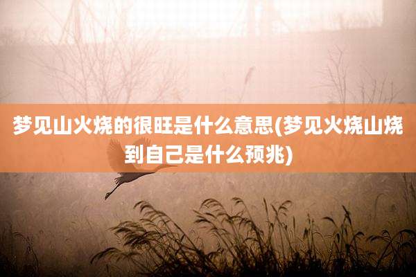 梦见山火烧的很旺是什么意思(梦见火烧山烧到自己是什么预兆)