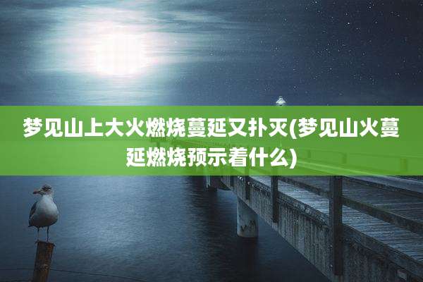 梦见山上大火燃烧蔓延又扑灭(梦见山火蔓延燃烧预示着什么)