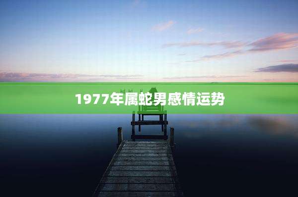 1977年属蛇男感情运势
