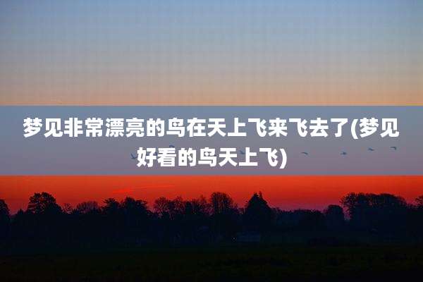 梦见非常漂亮的鸟在天上飞来飞去了(梦见好看的鸟天上飞)