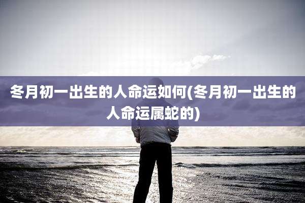 冬月初一出生的人命运如何(冬月初一出生的人命运属蛇的)