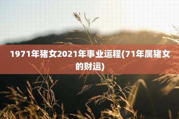 1971年猪女2021年事业运程(71年属猪女的财运)