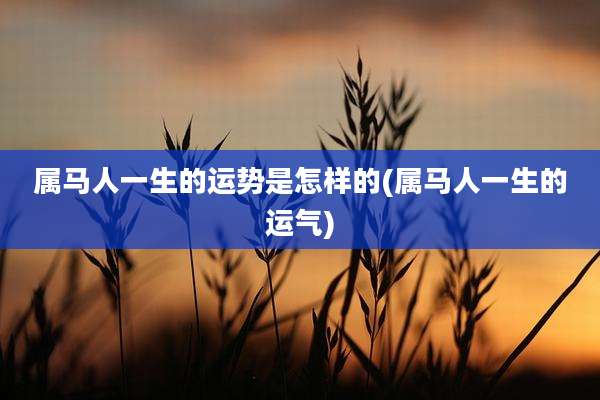 属马人一生的运势是怎样的(属马人一生的运气)