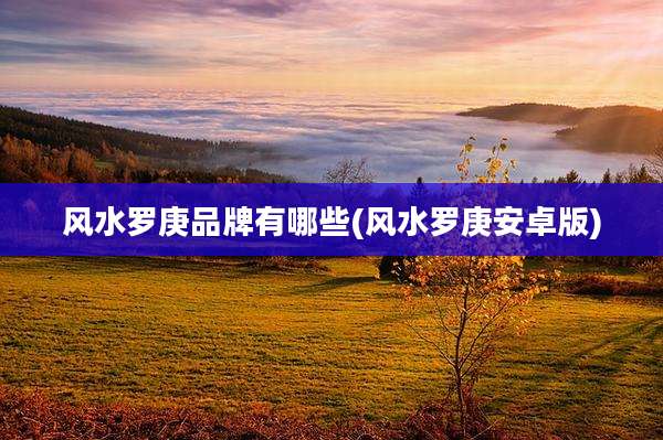 风水罗庚品牌有哪些(风水罗庚安卓版)