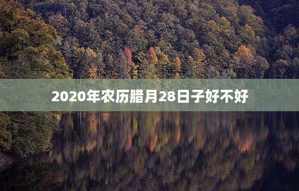 2020年农历腊月28日子好不好