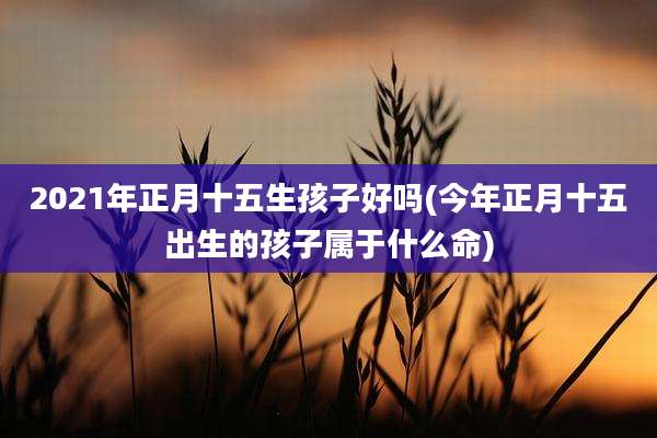 2021年正月十五生孩子好吗(今年正月十五出生的孩子属于什么命)
