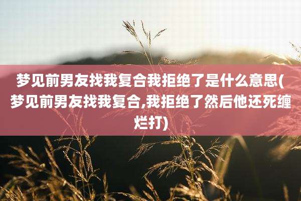 梦见前男友找我复合我拒绝了是什么意思(梦见前男友找我复合,我拒绝了然后他还死缠烂打)