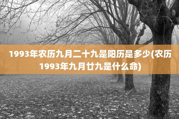 1993年农历九月二十九是阳历是多少(农历1993年九月廿九是什么命)