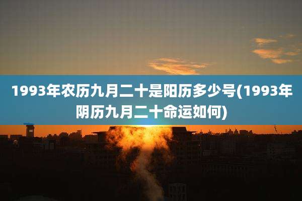 1993年农历九月二十是阳历多少号(1993年阴历九月二十命运如何)
